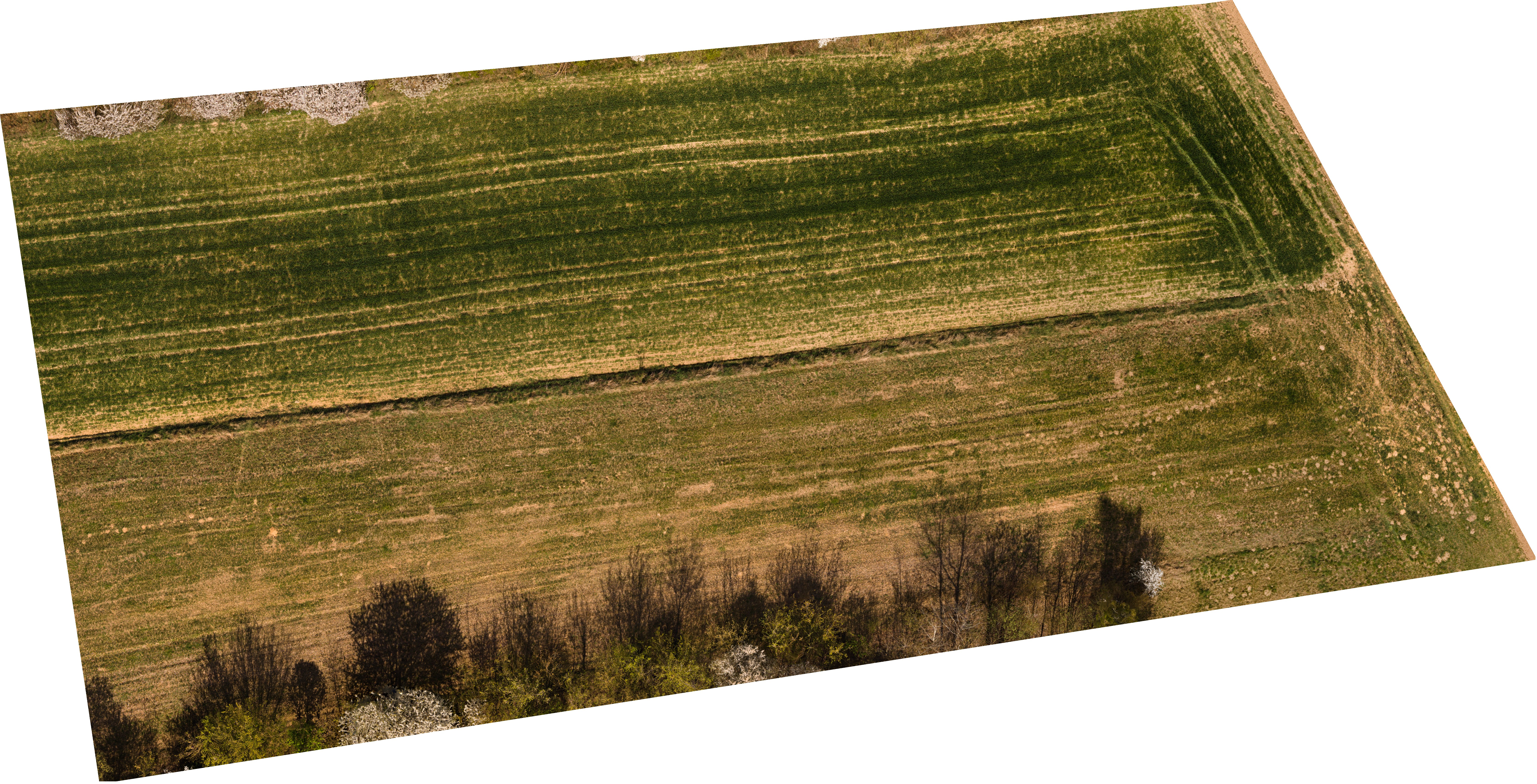 Ortofotomapa obszaru rolniczego